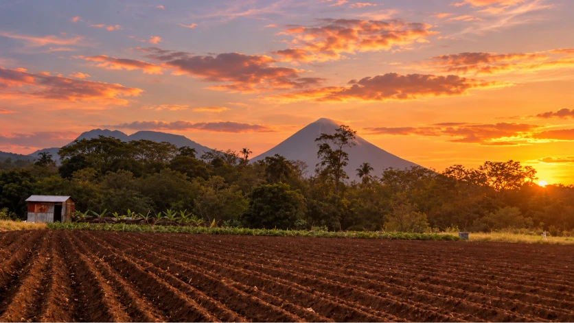 Campos agrícolas frente al Volcán Arenal al atardecer