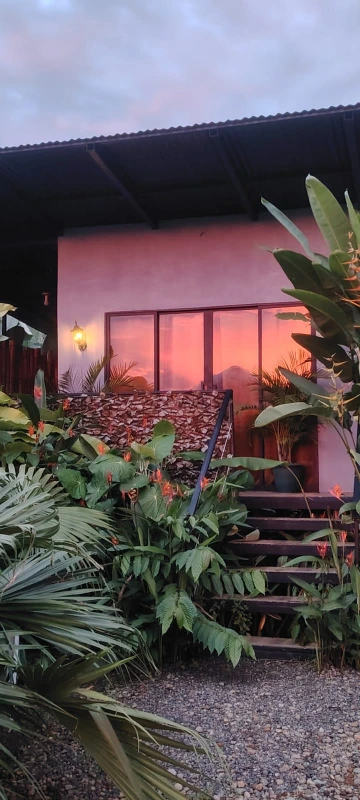 Exterior del alojamiento rodeado de vegetación