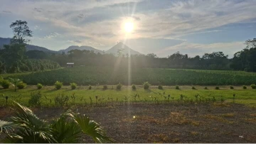 Paisaje tropical con el Volcán Arenal al fondo